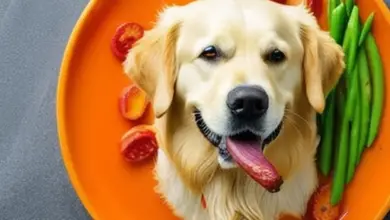 can dogs eat cooked vegetables 99.png