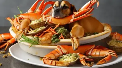 can dogs eat crab legs 740.png