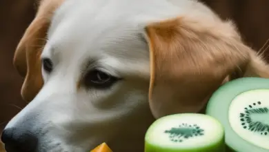can dogs eat honeydew skin 507.png