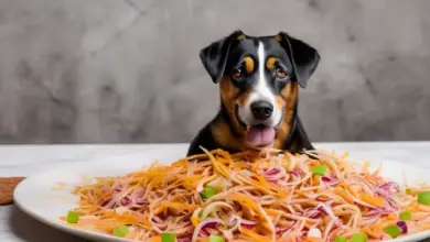 can dogs eat onions 438.png