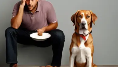 can dogs eat raisin bran 391.png