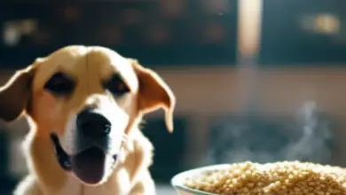 can dogs eat bulgur wheat 721.png