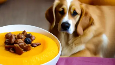 can dogs eat butternut squash puree 680.png