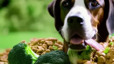 can dogs eat mycoprotein 2.png