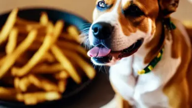 can dogs eat potato fries 202.png