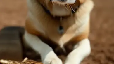 can dogs eat wood chips 582.png