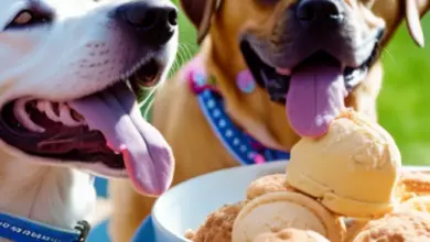 ice cream that dogs can eat 632.png