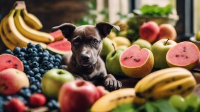 dog friendly fruits list guide
