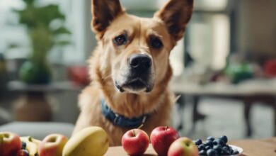 dog friendly fruits to offer