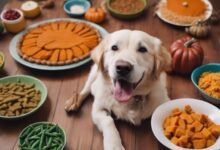 dog friendly thanksgiving food options