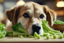 dog s safe celery amount