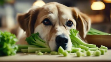 dog s safe celery amount