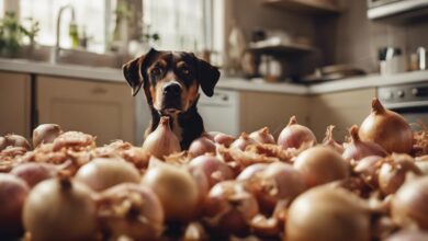 onion toxicity in dogs