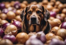 onions toxic to dogs