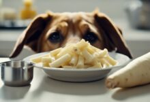 parsnips for dogs diet