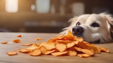 safe chips for dogs