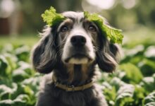 safe leaves for dogs