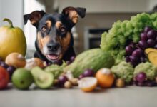 harmful fruits veggies for dogs